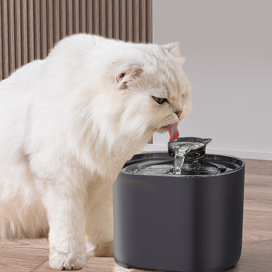 Bebedero Calentador de Agua a Temperatura Constante para Mascotas