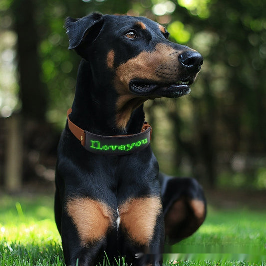 Collar LED Luminoso para Perros - Varios Colores