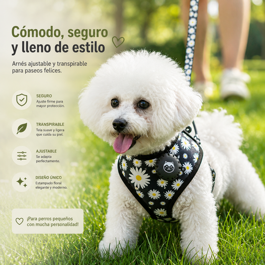 Set Arnés de Pecho y Correa Transpirable para Perros