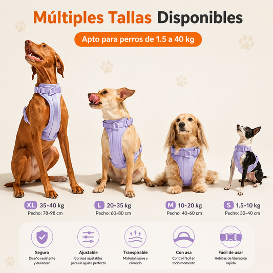 Arnés Chaleco Transpirable y Cómodo para Perros