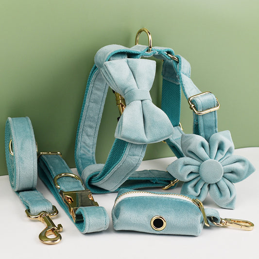 Set Collar, Correa y Pajarita para Perros - 5 o 6 Piezas